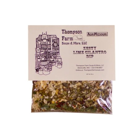 Zesty Lime Cilantro Dip